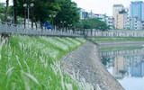 Hồi sinh sông Tô Lịch nhờ nước hồ Tây và công nghệ Nhật Bản